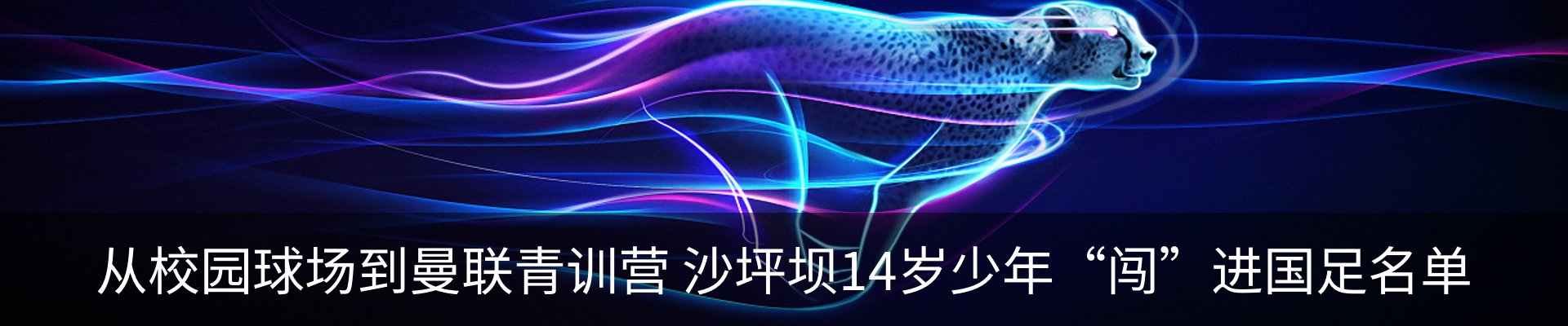 资讯动态
