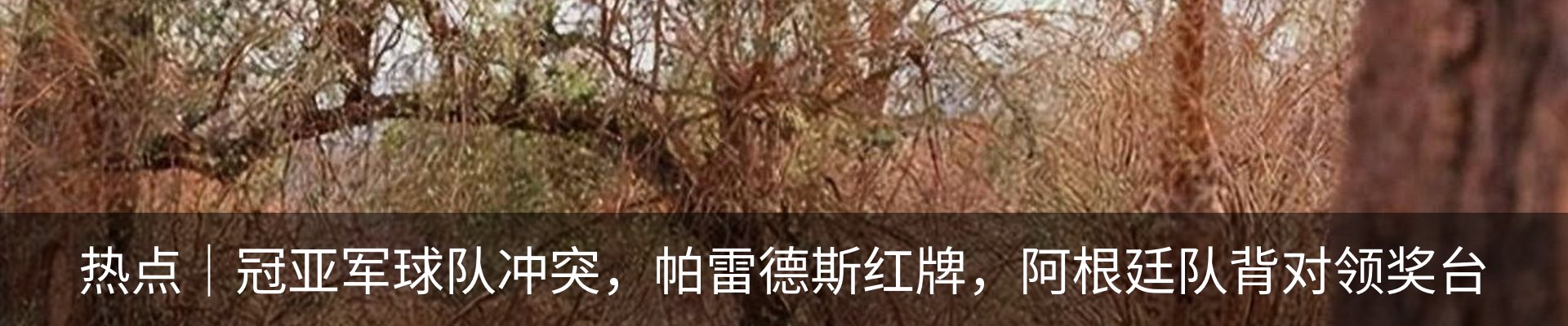 资讯动态