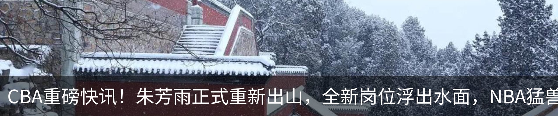 资讯动态